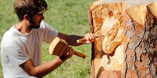 Итальянский художник превращает мертвые деревья в скульптуры