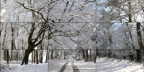 В Санкт-Петербург привезут работу Дэвида Хокни