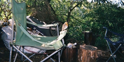 В Англии откроется выставка фотографий бездомных