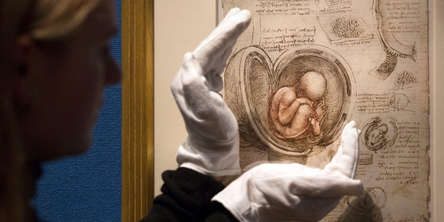 В Эдинбурге открылась крупнейшая выставка Леонардо да Винчи