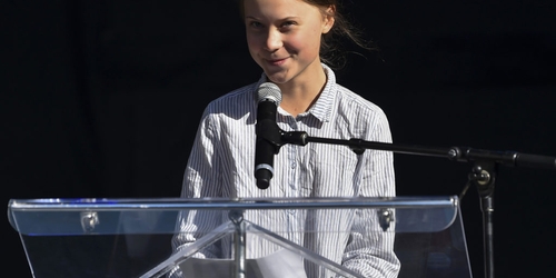 Парижский музей отказался от своего покровителя из-за поста о Грете Тунберг