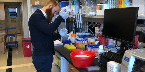 Художник помог создать краску, которая может выявить рак