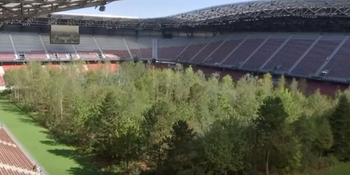 Художник вырастил лес внутри стадиона