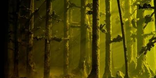 В лондонской галерее открылась выставка леса