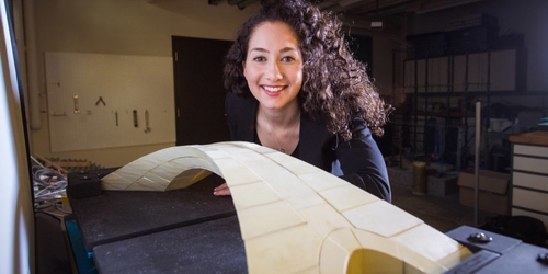 Архитекторы воссоздали мост по дизайну Леонардо да Винчи