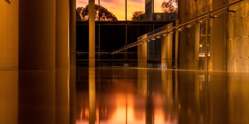 Национальная галерея Австралии закрылась из-за пожаров