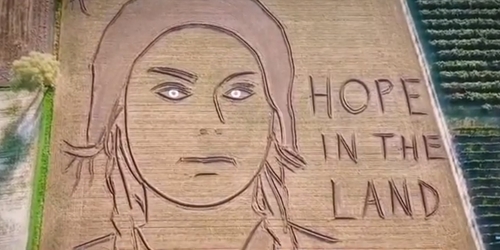 Художник создал в поле огромный портрет 16-летней активистки