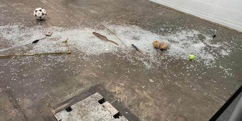 Критик случайно уничтожила произведение стоимостью $20,000