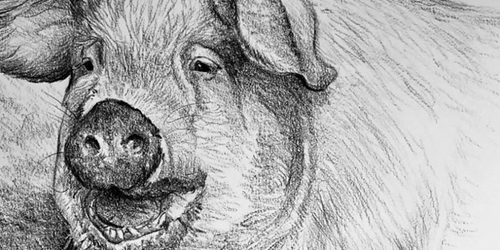 Английская художница завершила марафон «100 рисунков за 100 дней»