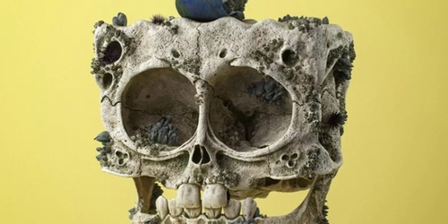 Филип Ходас показал скелеты героев поп-культуры