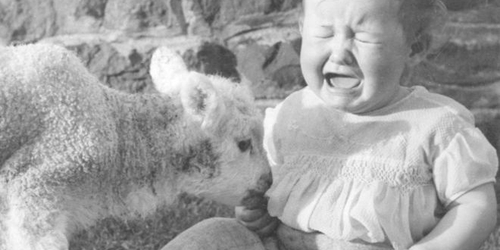 Крупнейшая выставка фотографий Дерека Эванса открылась в Херефордшире