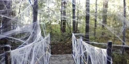 Школа современного искусства при ММОМА покажет лучшие работы выпускников