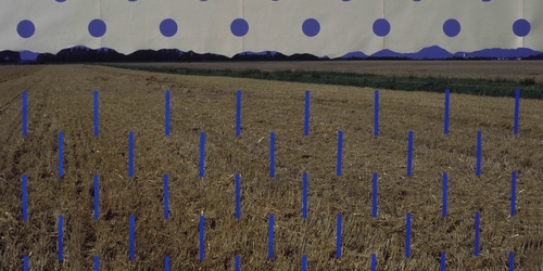 В МАММ пройдет publiс talk с Франциско Инфанте и Нонной Горюновой