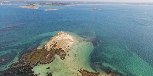 Энтони Гормли хочет установить скульптуры в честь Brexit