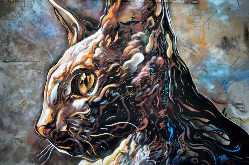 Трафаретное граффити C215