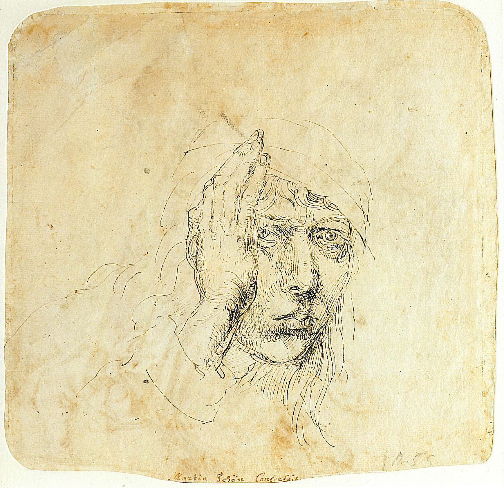 Albrecht Dürer (1491-92. Автопотрет в 20 лет)