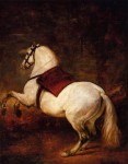Живопись | Диего Веласкес | A White Horse. 1635