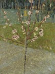Живопись | Винсент ван Гог | Миндаль в цвету. Апрель, 1888