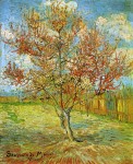 Живопись | Винсент ван Гог | Розовый персик в цвету. Март, 1888