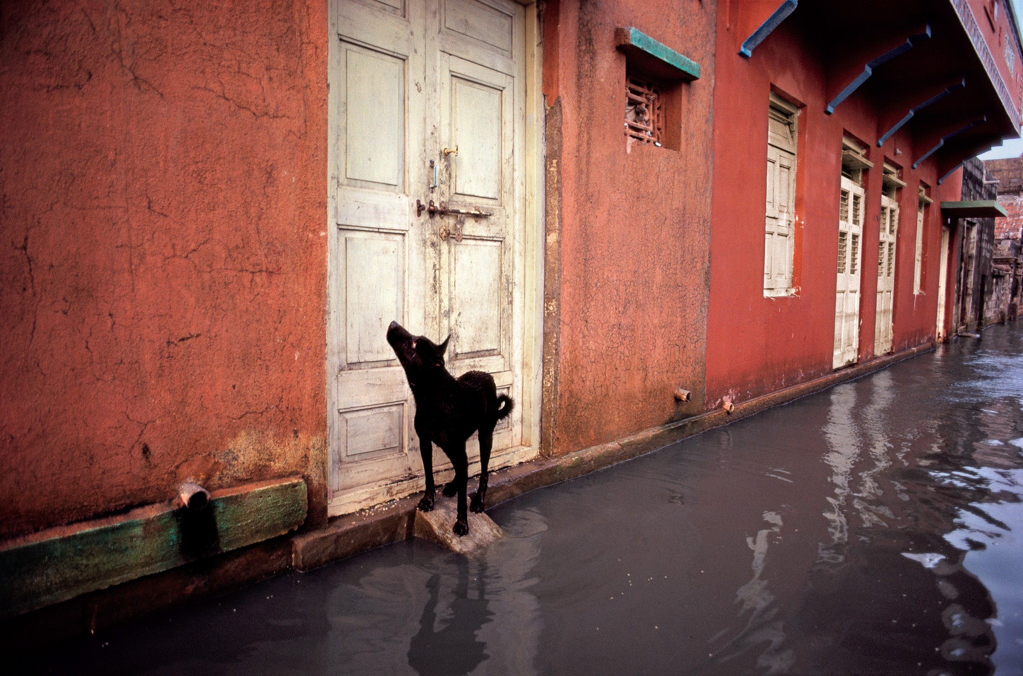 Steve mccurry фотографии