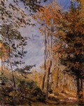 Живопись | Макс Слефогт | Осенний лес, 1906
