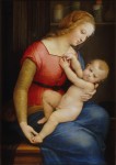 Живопись | Рафаэль Санти | Мадонна Орлеанская, 1506-07