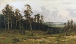 Живопись | Иван Шишкин | Опушка леса, 1882