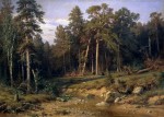Живопись | Иван Шишкин | Сосновый бор. Мачтовый лес в Вятской губернии, 1872