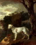 Живопись_Томас Гейнсборо_Bumper, a Bull Terrier, 1745