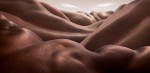Фотография | Карл Уорнер | Desert of Backs