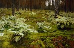 Живопись | Исаак Левитан | Папоротники в лесу, 1895