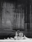 Фотография | Ансел Адамс | White House Ruin, Morning, Canyon de Chelly, 1950