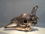 Скульптура | Шерри Левин | Giraffe Skull, 2012