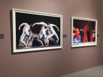 Выставки | Новый Манеж | Михаил Барышников, из цикла «Танец»