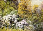 Живопись | Джон Эннекинг | Spring Flowers, 1904