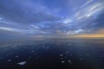 Фотография | Artifex в Арктике | Фото © Вера Вакулова
